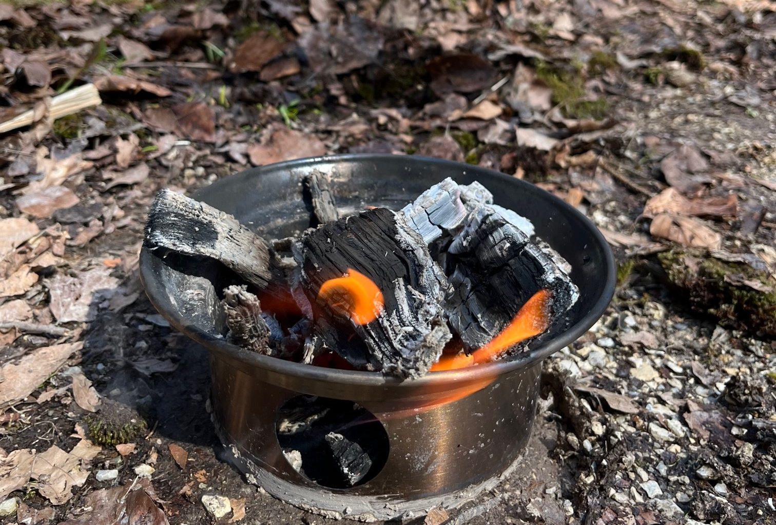 Mehr über den Artikel erfahren Waldpädagogik: Klasse 10 im Forst