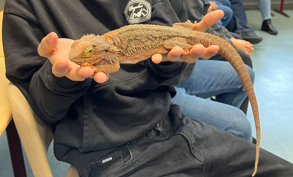 Mehr über den Artikel erfahren Exotische Tiere zu Gast in der MHS